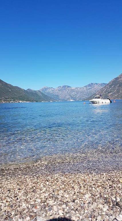 Apartment Maniva Kotor Eksteriør bilde