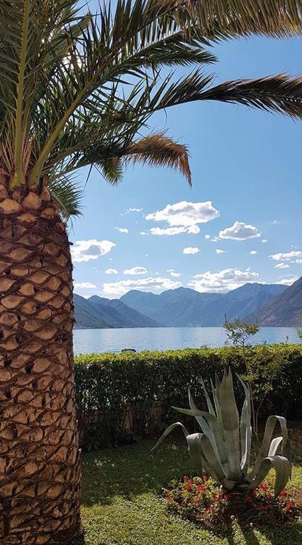 Apartment Maniva Kotor Eksteriør bilde