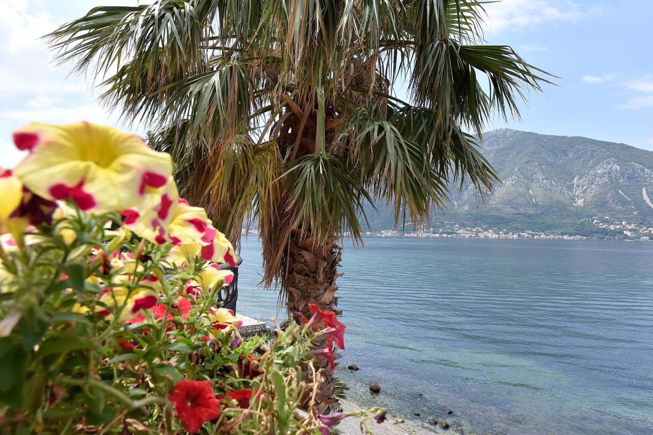 Apartment Maniva Kotor Eksteriør bilde