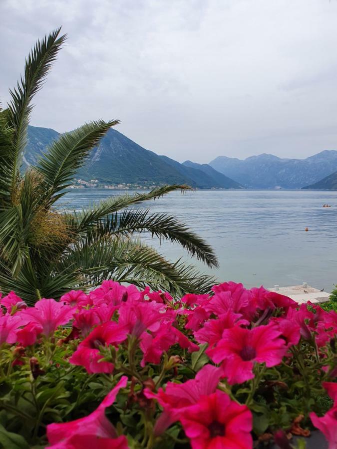 Apartment Maniva Kotor Rom bilde